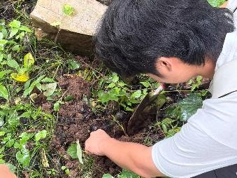 教师团队现场示范专业操作