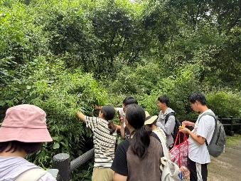 系统讲授植物形态鉴别