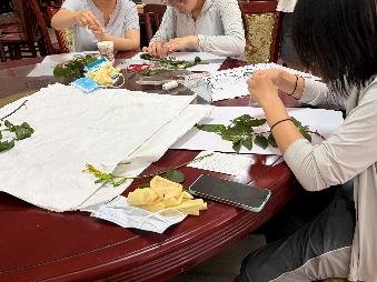 多维视角的评分体系既保障了专业性