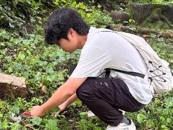 生态习性分析及保色标本制作等关键技术