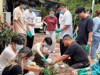 结合古籍记载还原中药配伍精髓