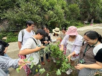 采集与标本制作